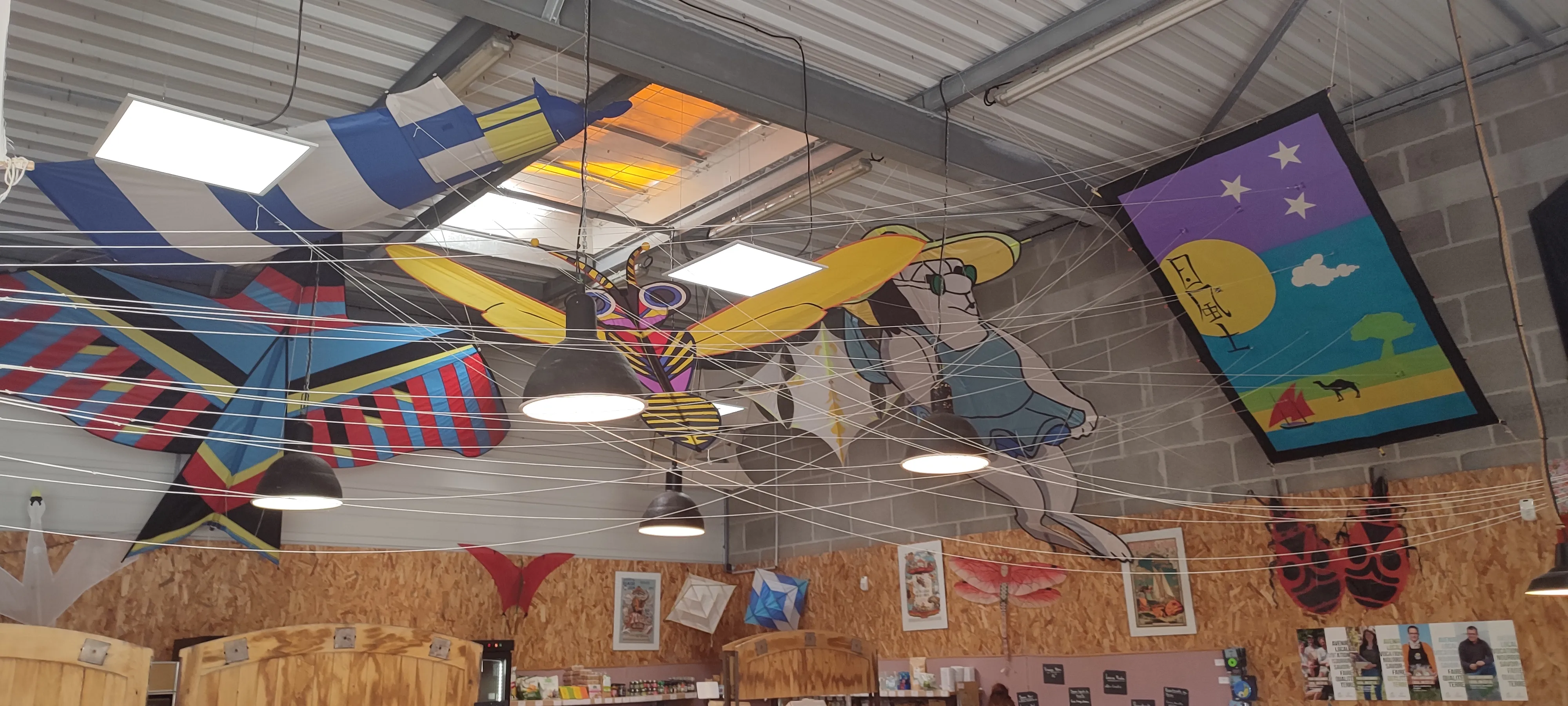 Exposition de cerfs-volants