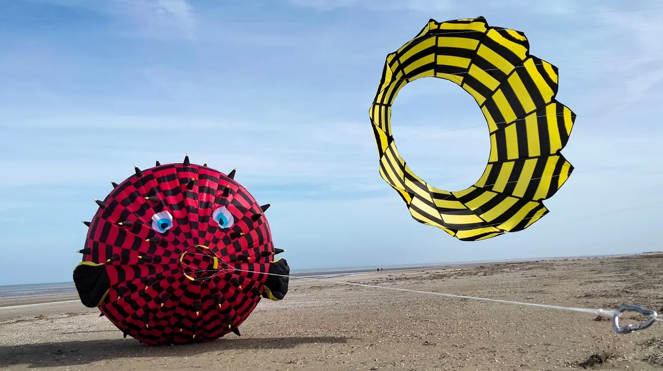 Grandes formes et cerfs-volants artistiques en festival