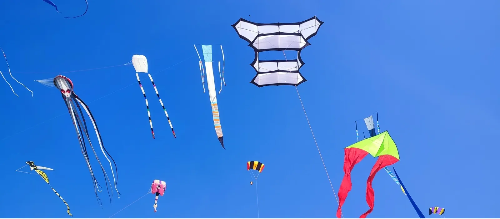 Public assistant à une animation de cerfs-volants