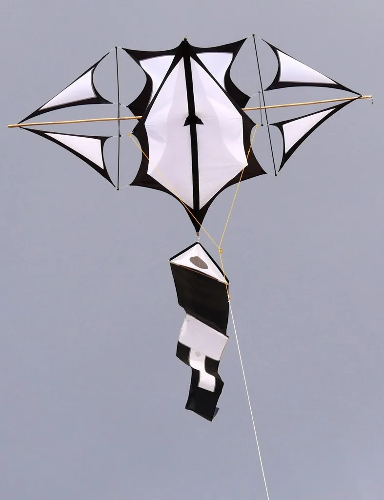 Cerf-volant cellulaire Icare Encore
