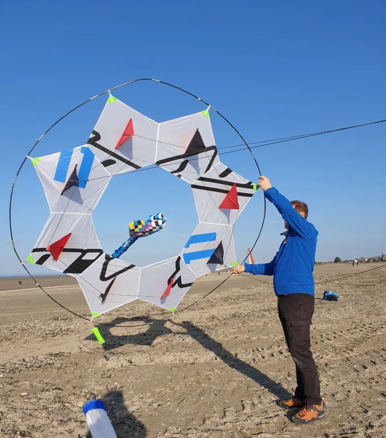 Les cerfs-volants en vol — image 9
